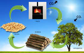 Energia z biomasy – E-ENERGIA.SK