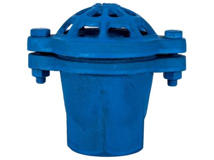 Suction Strainer KULI 1", cast iron with valve for pumps and water pump stations, PN10