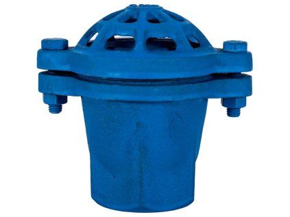 Suction strainer KULI 3", cast iron with valve, PN 10 for pumps and hoses