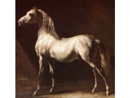 GRAFIKA Čtvercové puzzle Cheval Arabe Gris-Blanc 1000 dílků