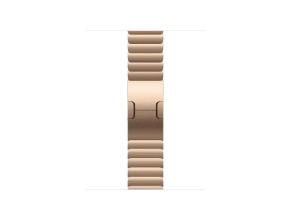 Watch Acc/42/Gold Link Bracelet
