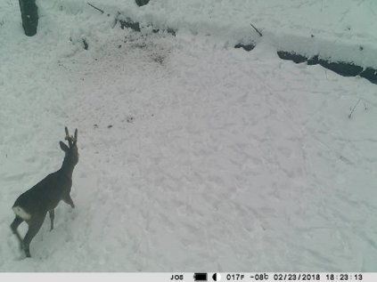 Lovecká kamera PNI Hunting 350C 12MP s 3G internetom, SMS, posielanie filmu na telefón, email, FTP, full HD 1080P, nočné videnie, 58 neviditeľných LED pre zvieratá