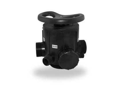 Manual softening head 2" with 4" top connection