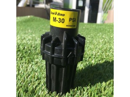 Čerpadlo Rain Bird Regulátor tlaku PSI-M30 - 3/4" VNZ