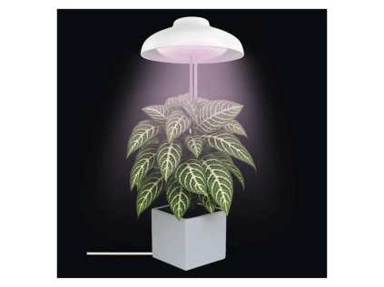 Rastúca lampa EMOS Z7901 Grow 5W
