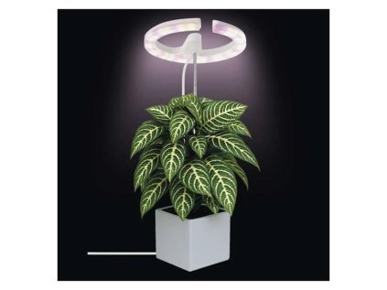 Rastúca lampa EMOS Z7902 Grow 8W