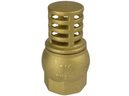 Suction Strainer with Check Valve 5/4" All-Brass for Pumps and Home Water Pump Stations