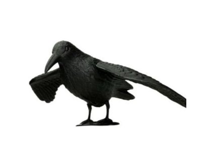 ISO 6555 Havran 38cm