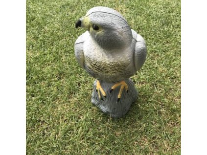 Fortel Plašič vtákov Jastrab maketa dravca 40 cm