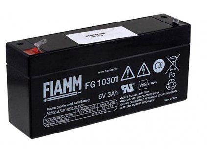 Záložný zdroj FIAMM Standard FG 6V 3,0 Ah