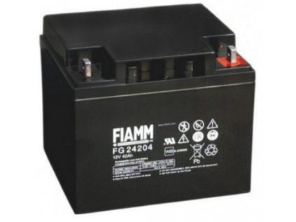 Záložný zdroj FIAMM Standard FG 12V 42 Ah