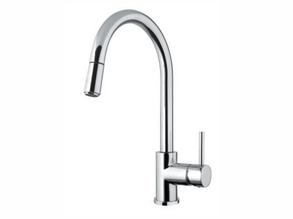 alveus vela p 1132183 chr