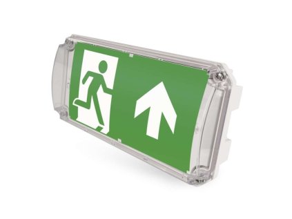 LED Núdzové svietidlo NESSI 4W 3H IP66