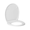 137971 d1 toilet seat made of duroplast