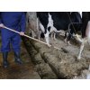 Hrable obojstranné / stierka, bez násady KERBL 29244, 40 cm – pohľad 3