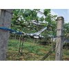 Pákový lanový navijak KERBL 37116 HAND POWER PULLER 3m/700 kg – pohľad 4