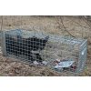 Profesionálna pasca na líšky, kuny, vydry a mačky TRAP ST118x34x34V2 – pohľad 5