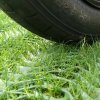 f 446 0 zatravnovacia rohoz grassroll auto detail