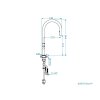 Swan P%20nakres